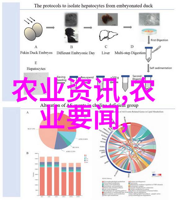 鸟类养殖-鸽子饲养艺术从基因选择到栖息环境的完美融合