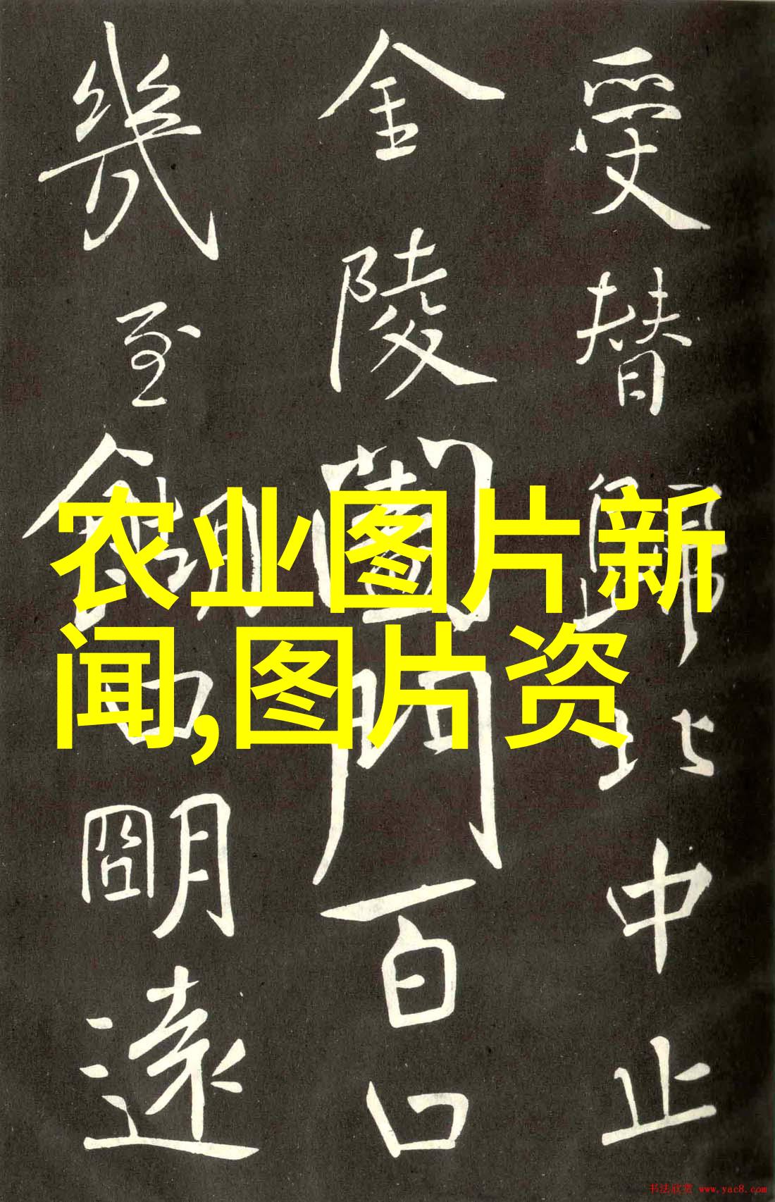 牧场到餐桌全国牛羊交易平台的数字化革命