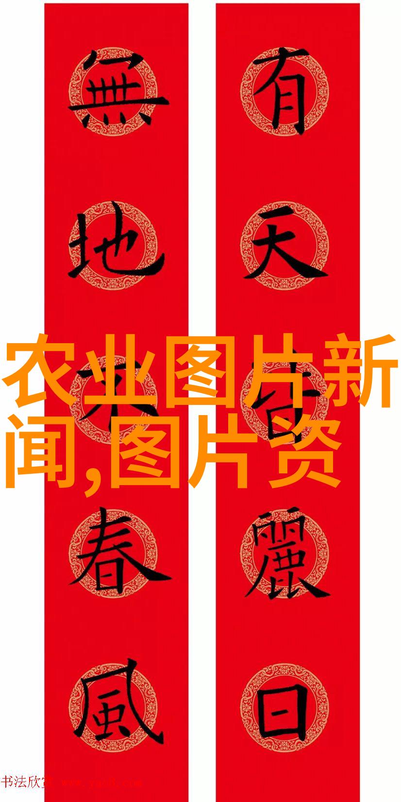 农产品价格网洞悉市场动态助力农业发展