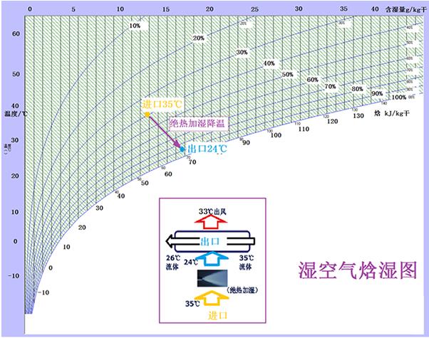 应对恶劣天气条件时如何保护蜜蜂数量不减少