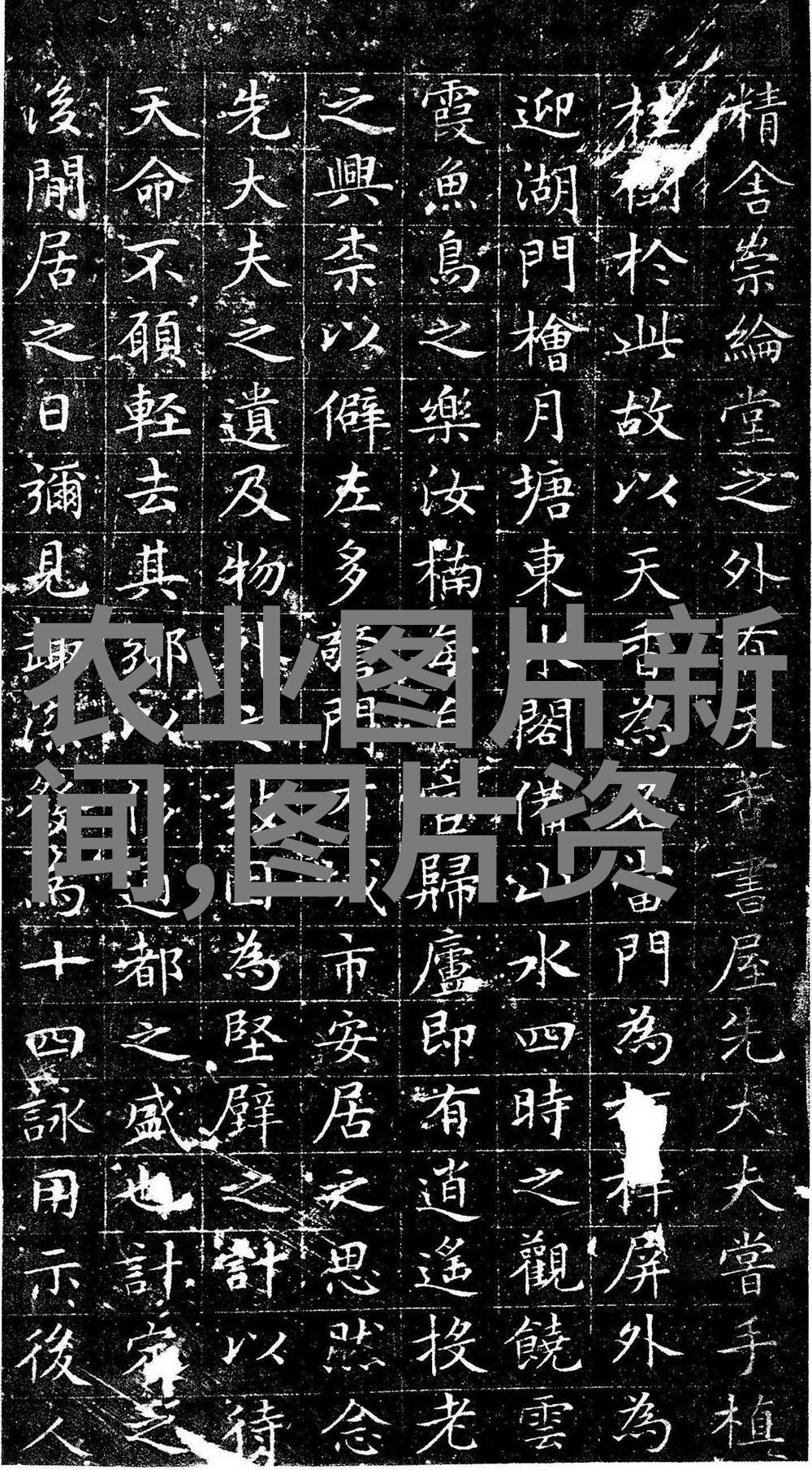 稻田黄鳝养殖技术-精准水肥管理与生态平衡的双赢之道