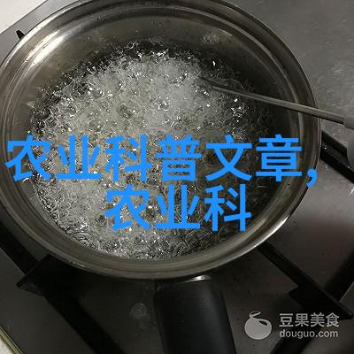 解读国家最新政策中的不得封区原则及其对城市管理与公共卫生策略的影响