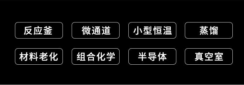 金丝楠苗木的珍贵与昂贵10公分宝藏在手中