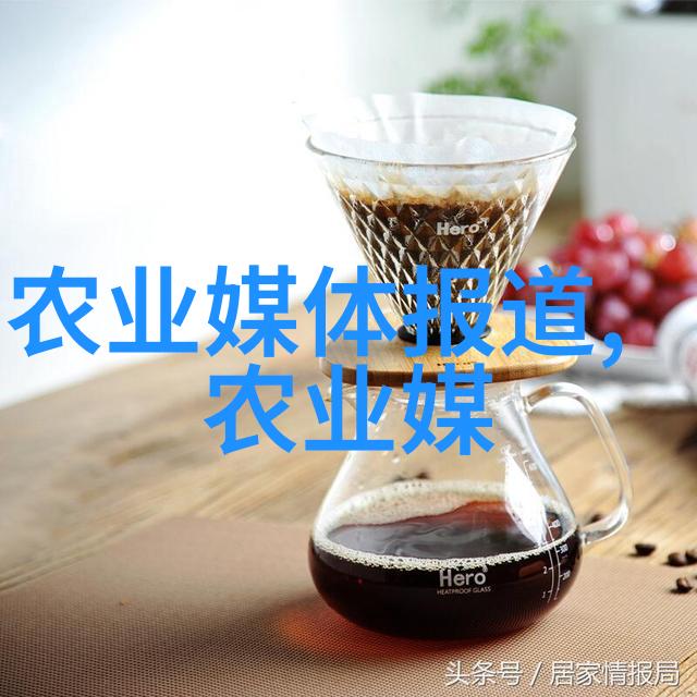 菌类养生之野生灵芝泡茶效用何在