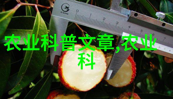 现种榴莲赚钱快揭秘这颗金黄甜美果树的生长与种植技巧