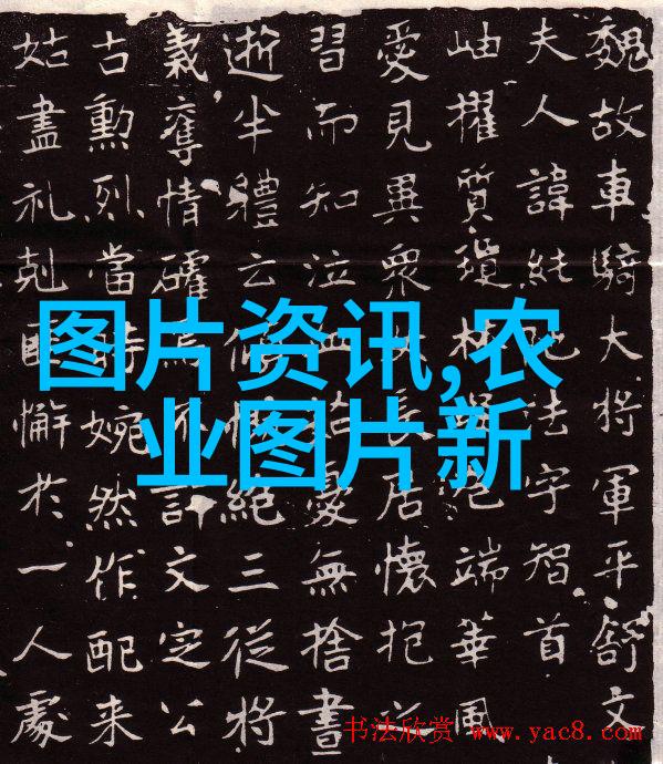 冬日暖意农村十大暴利养殖让我们共享温馨的收获