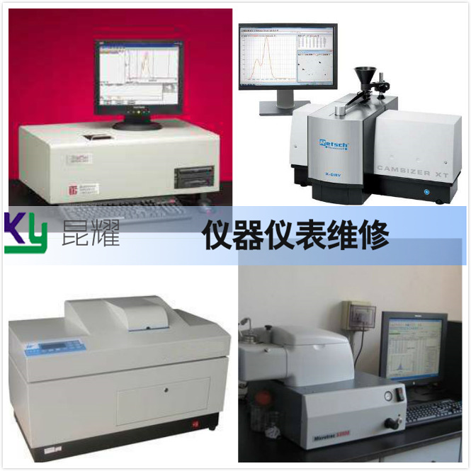 鲜香回潮深度剖析蒜苔价格波动背后的市场因素