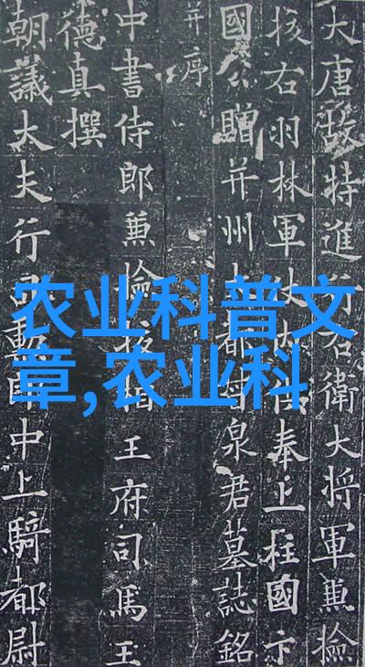 生活点滴我和芸薹的故事从田野到餐桌的温暖回忆