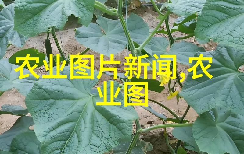 液压油缸我的机械老朋友如何让它更久更强