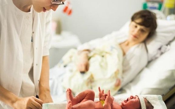 室内蚯蚓养殖技术-土壤微生物的新宠室内高效养殖蚯蚓的秘诀