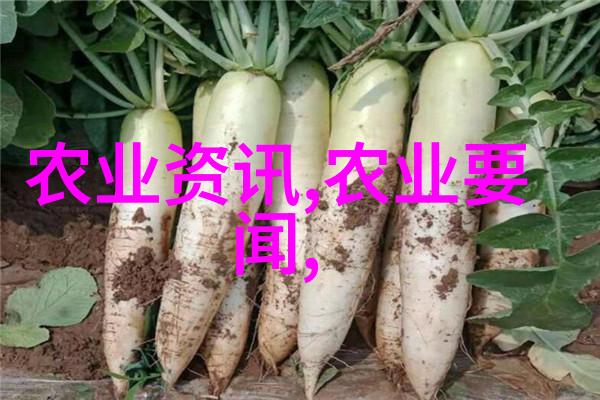 南方蜜蜂养殖技术中的诱蜂箱能吸引几公里外的蜜蜂