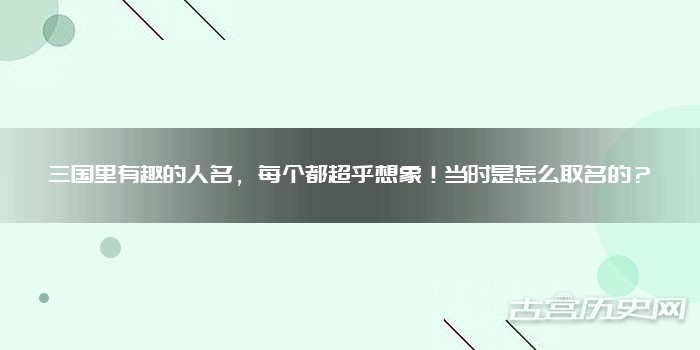 紫叶稠李10公分植株价格高品质园艺种子供应商