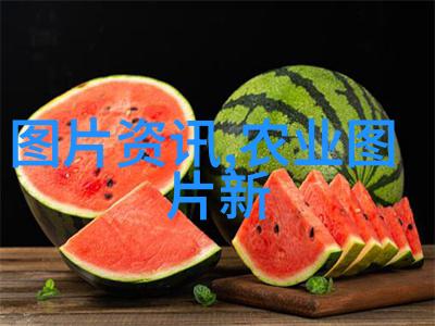 水土保持技术发展至今哪些是最有效的方法和工具