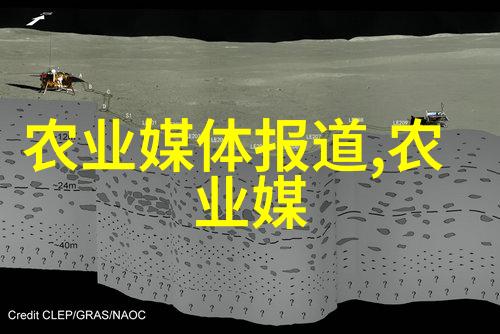 从草到金20只羊养殖项目回报率评估