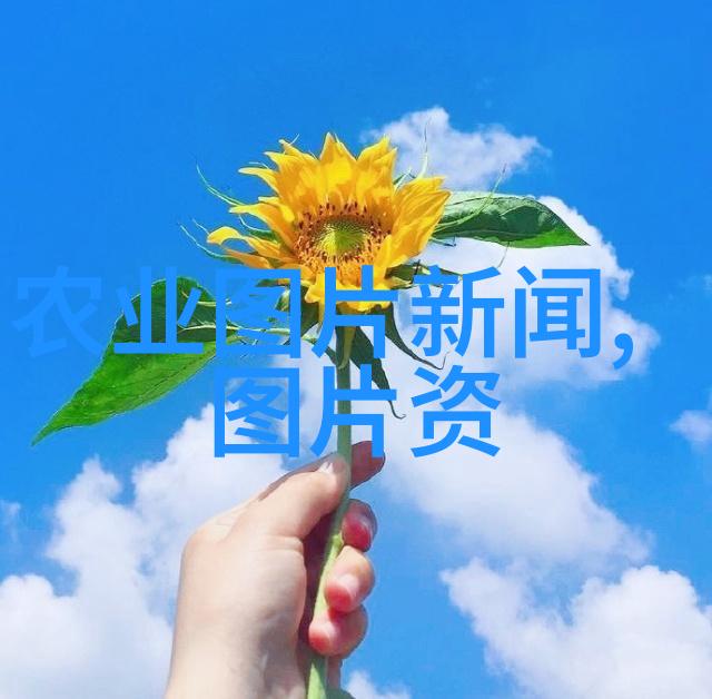 花季传媒免费网站入口ios-探索花季传媒的数字世界如何在iOS设备上无缝访问免费内容