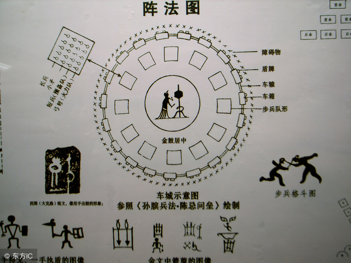 石蛙养殖技术高效水质管理与健康成长的关键