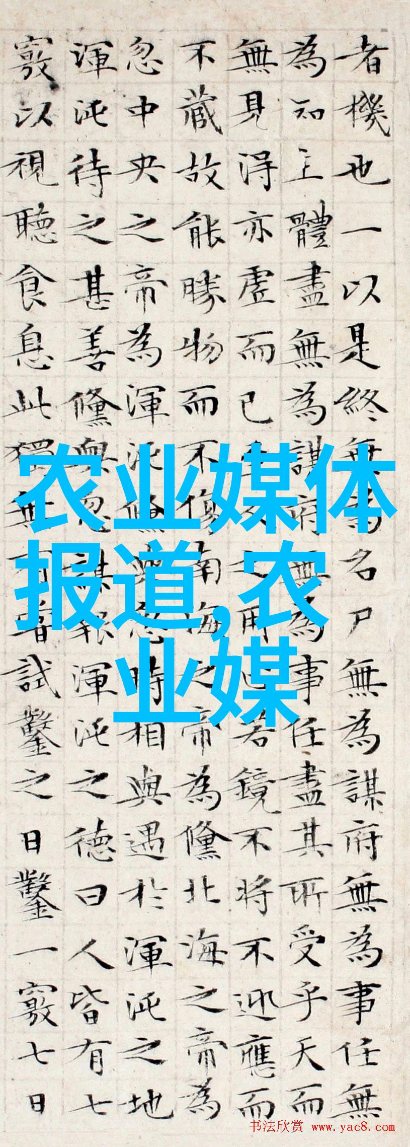 稻田黄鳝养殖技术助力土鸡蛋批量生产革新酵饲料运用回归自然之味