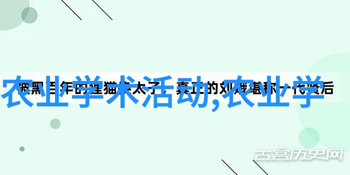 农田精耕的强助手多功能农用耕地拖拉机的魅力与实用性