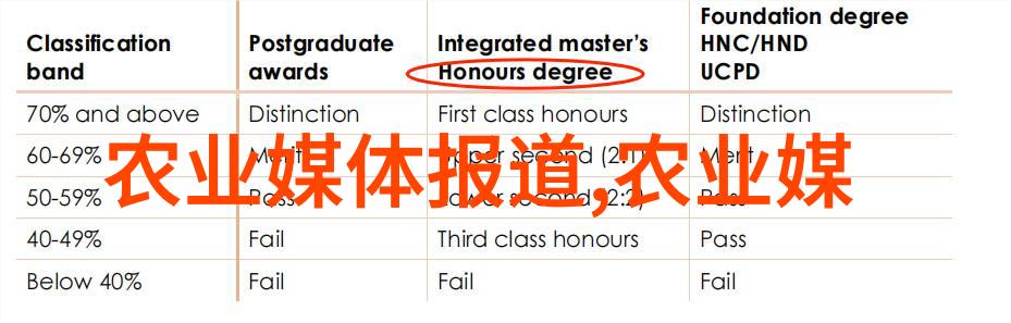 我和枣树我的小院里那棵老枣树它的故事和我的回忆