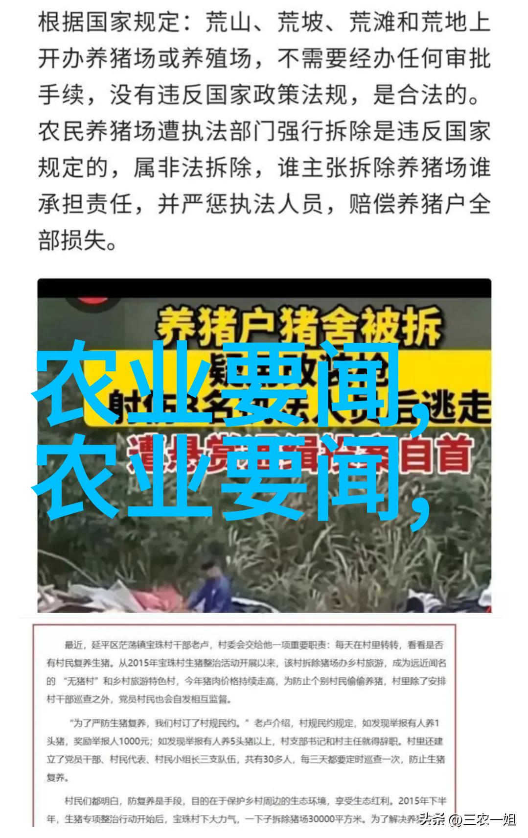 蜂蜜滋养探究女人长期饮用蜂蜜水的健康益处