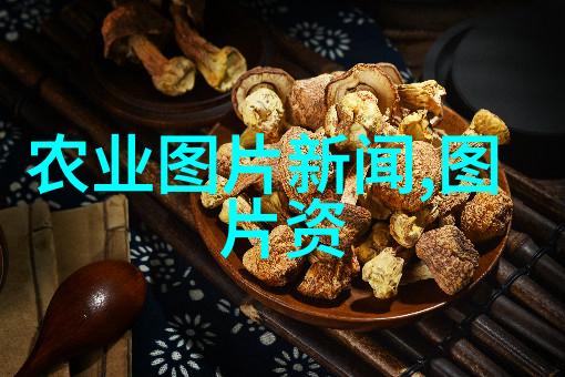 菌类的奇迹解锁它们的健康功效