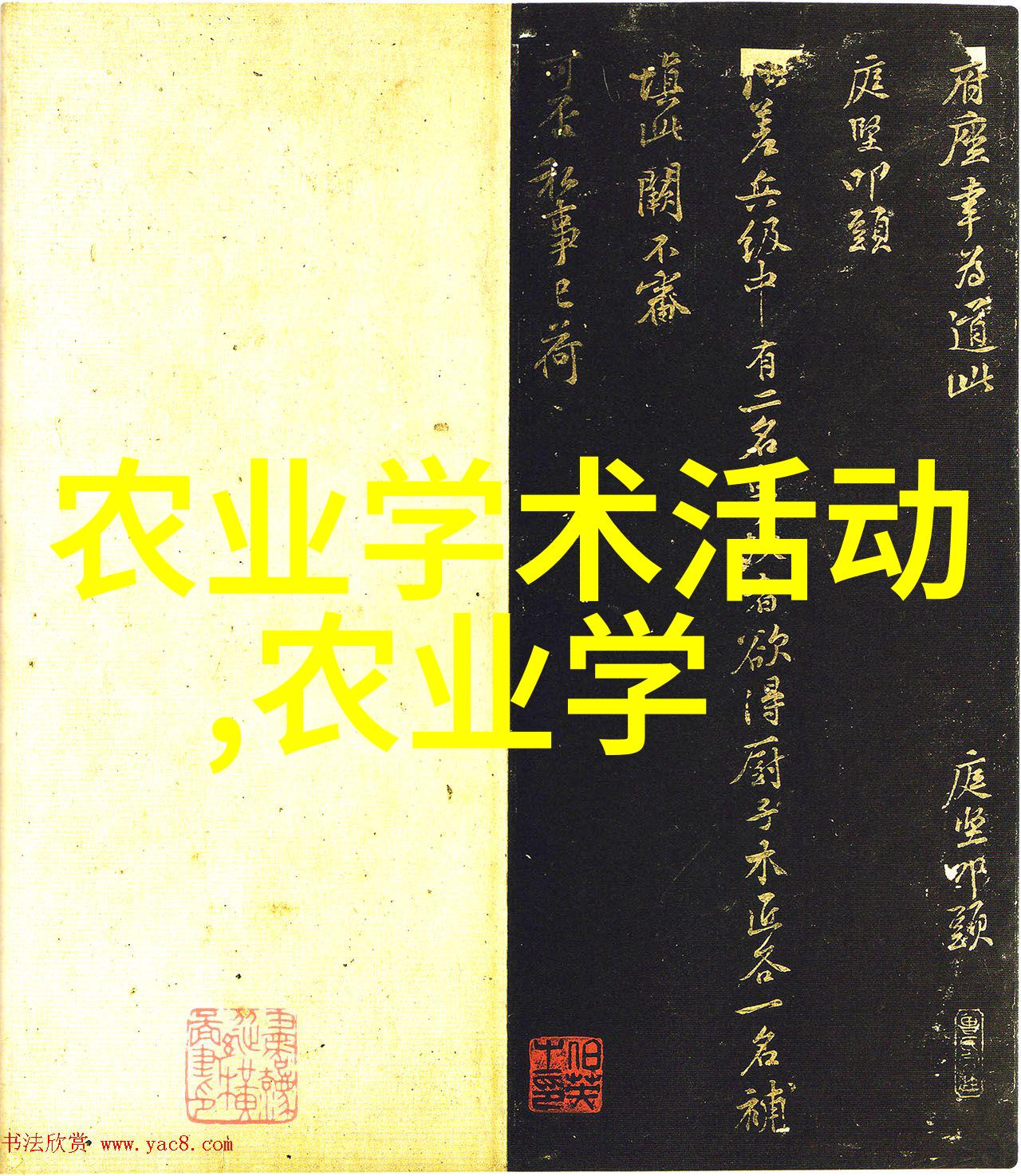 田野里的秘密探寻休闲农业背后的神秘故事