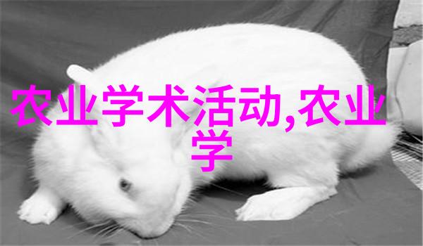 提升生猪养殖效率与健康新时代的技术创新与管理实践