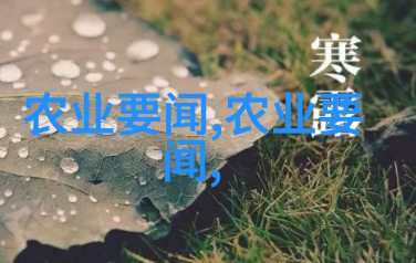 神奇养蜂技艺翩翩舞的蜜蜂黄金花园的守护者