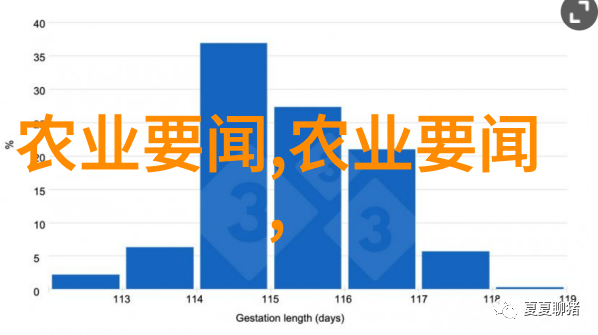 深潜广西水乡的秘密一处神秘大型水产养殖基地的奇遇