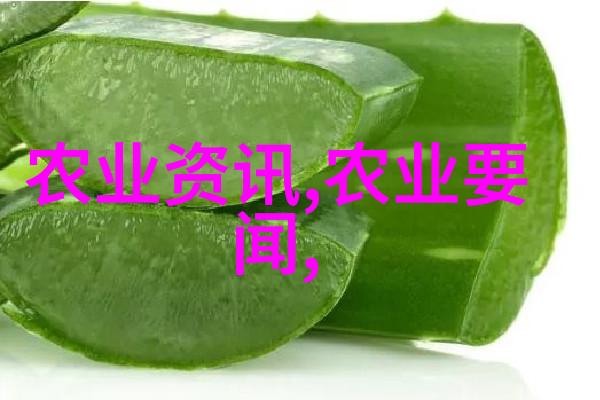 蜂蜜宝库2023年中期的蜂箱管理技巧与视频解析