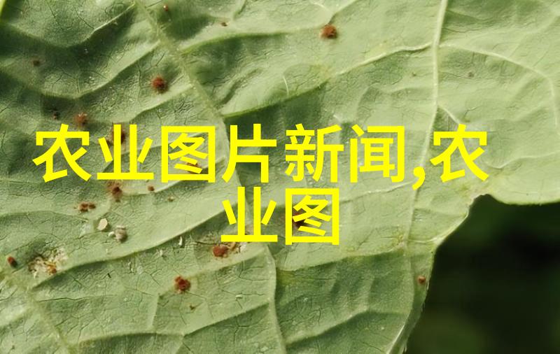 桑黄种植一亩投资概览成本估算与收益预期