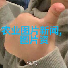 春季蜜蜂管理技巧提高养蜂效率与蜂群健康