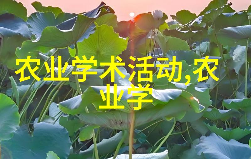 全球疫情对2022年肉牛存栏量影响评估