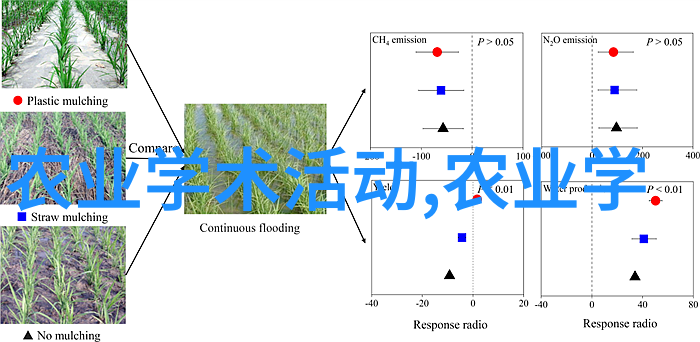 龙虾养殖技术我来教你怎么搞