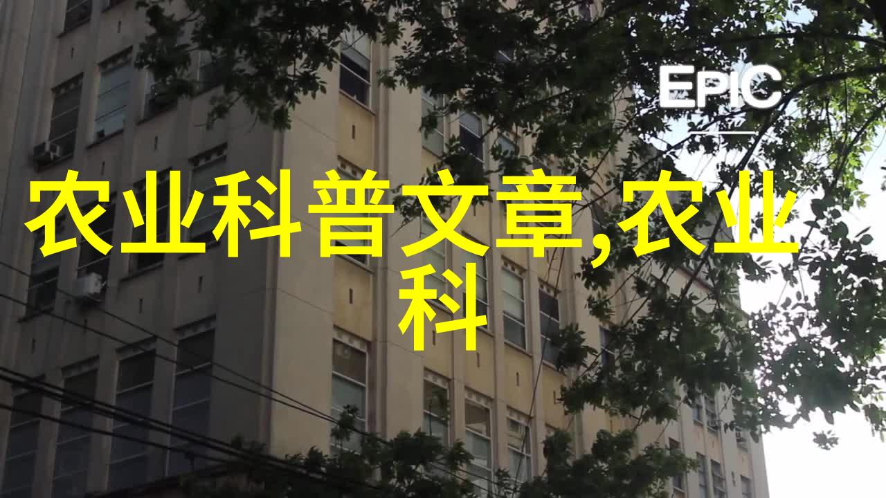 稻田泥鳅养殖技术-利用水生资源的智慧提升经济效益与生态平衡