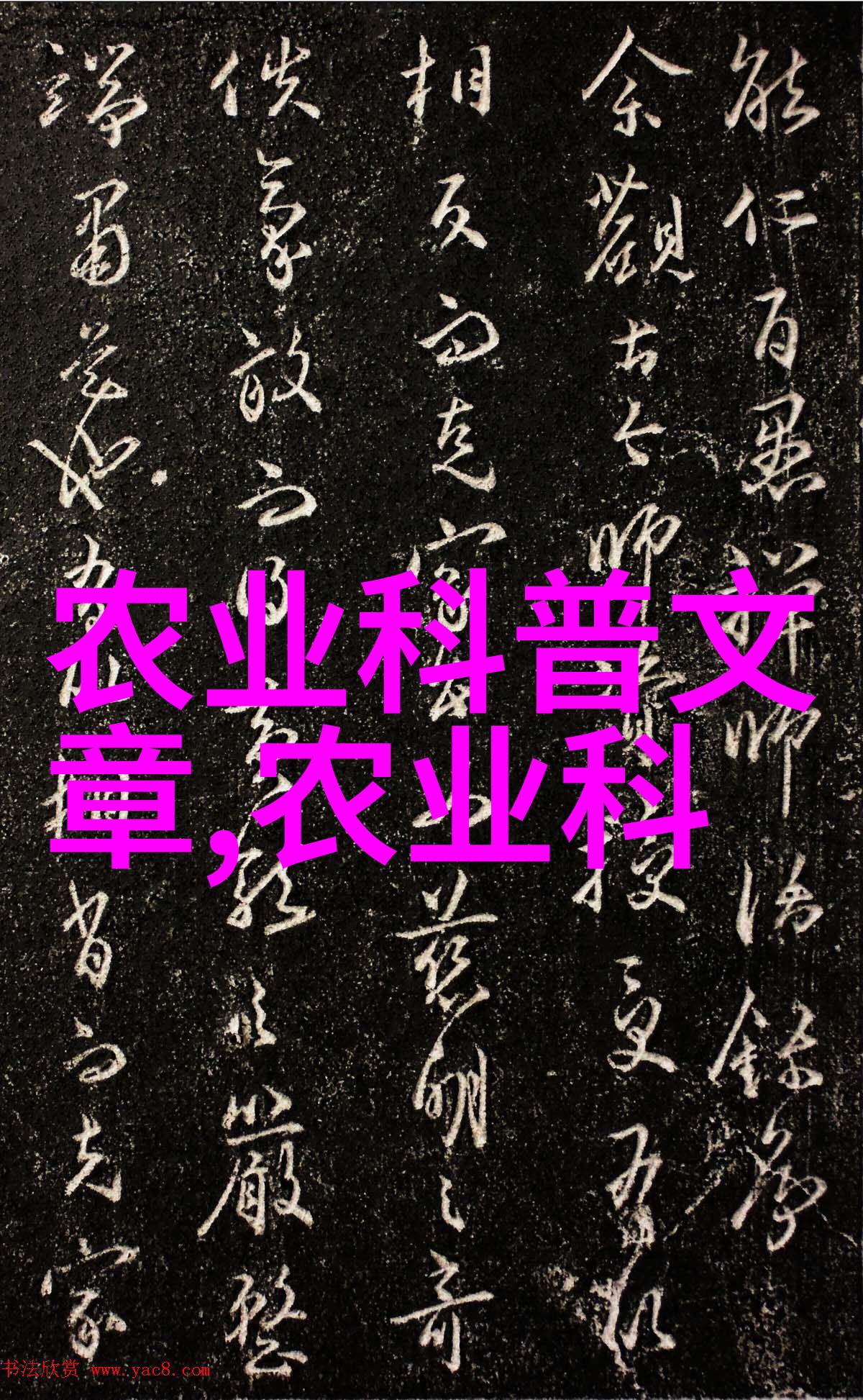 观赏鱼养殖技术全解从基因选择到环境营造的完美艺术