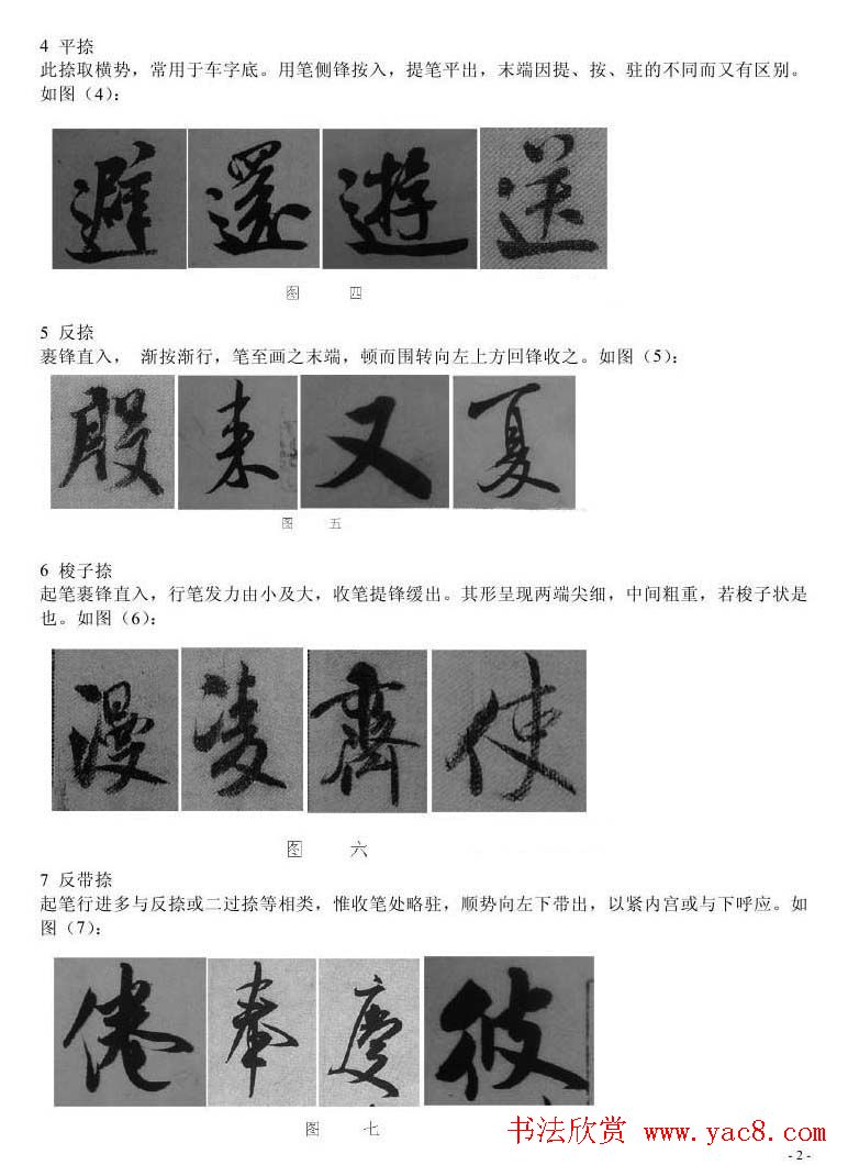 花卉种植技巧详解提升园艺技能美化生活空间