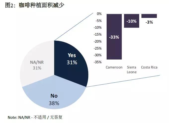 提高肉狗养殖效率与健康的关键技术要点