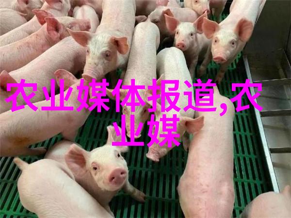 山羊养殖技术视频全集解析提高饲料转化率的秘诀