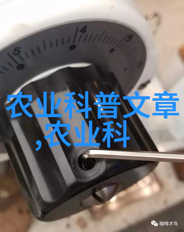 大丑风流记txt下载我是不是也该去找找看这部小说的txt版有没有好玩的版本