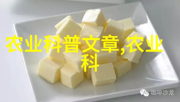 饲料准备与分配策略