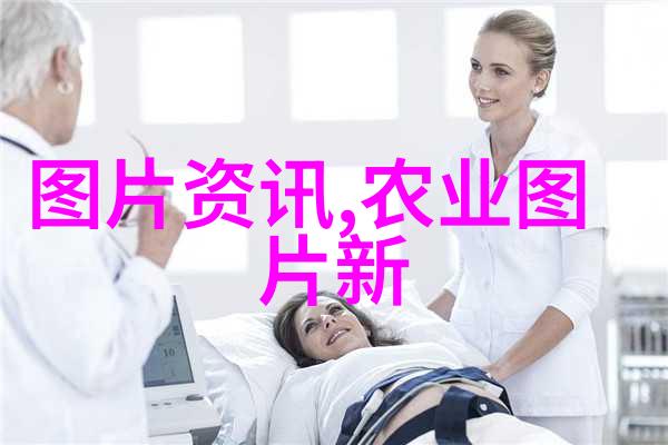 蜂巢之谜科学养蜂的奥秘与实践