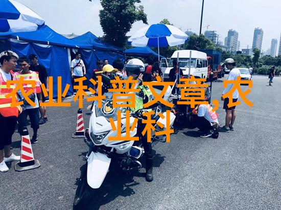 泥鳅工厂化养殖技术-滋养未来如何提升泥鳅工厂化养殖效率与可持续性