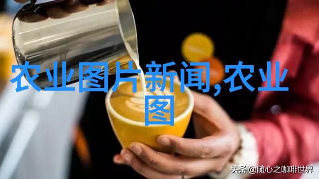 精准养殖科学搭配的牛饲料配方秘诀