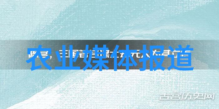 CCTV-2天下财经中国农业展望报告未来10年 我国粮