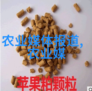 来不及说我爱你 匪我思存心跳加速的告白那些未能表达的情深意长