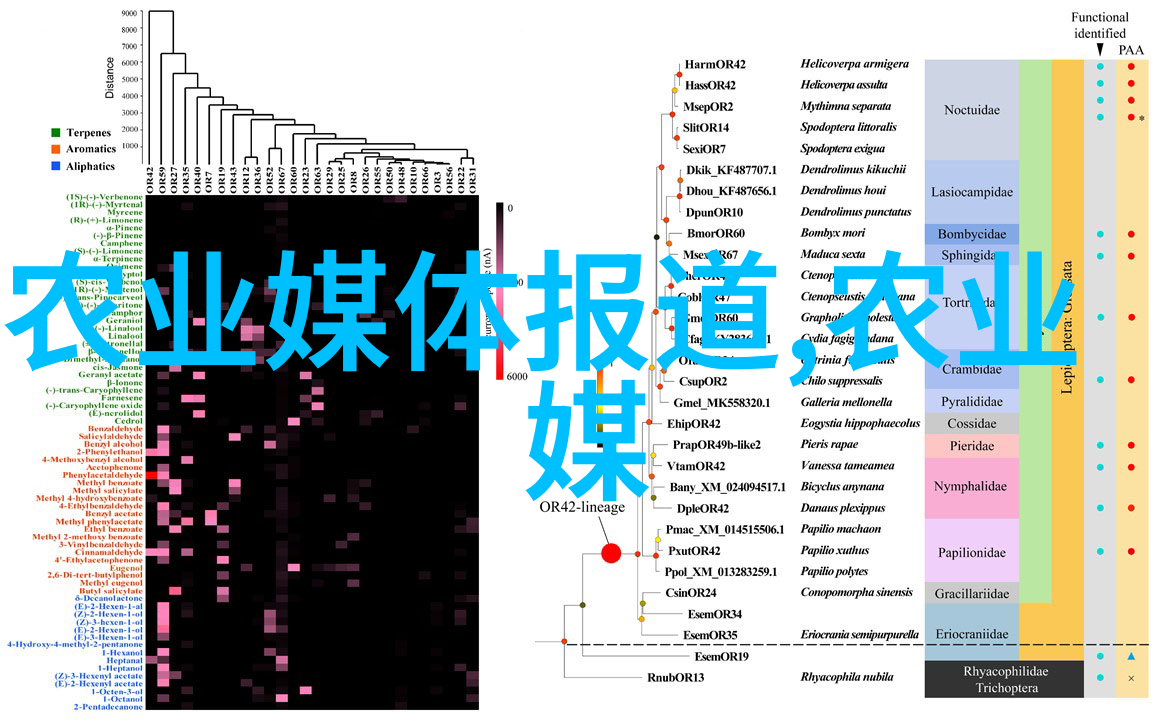 寻找便宜源哪里批发鲜花最划算