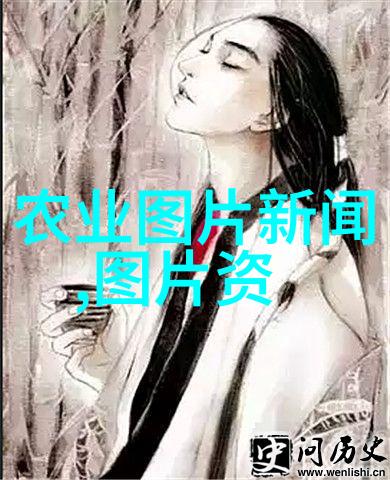 杨家洼40背后的故事与真相