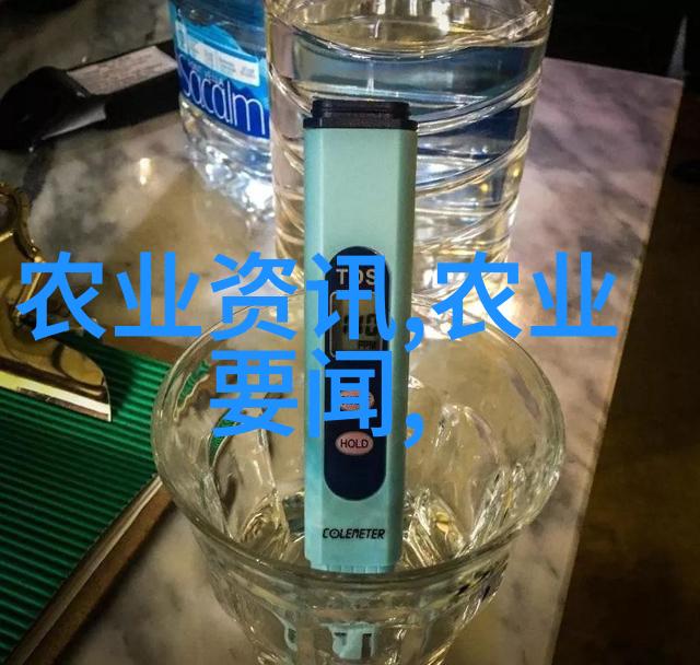 茶叶资讯我是如何在一杯好茶中找到宁静的