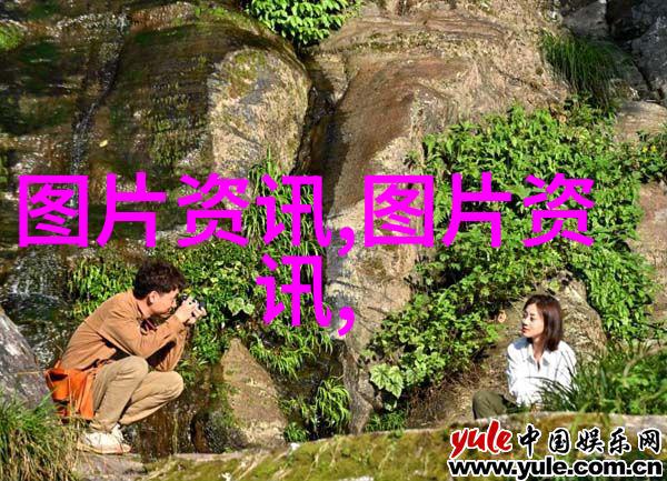 春季花卉种植指南如何为您的园艺作品注入新色彩